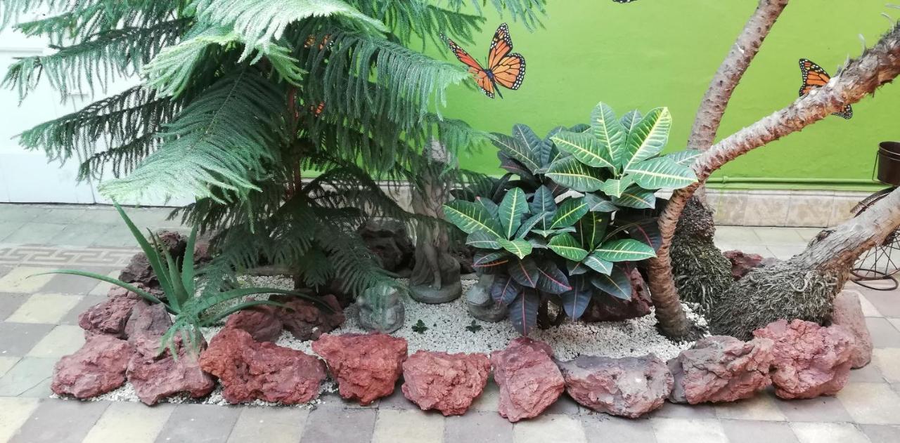 Casa Mayela Guest House San Jose  Exterior photo